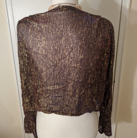 ZARA Sheer Gold Metallic Crop Top - Picture 6 of 6